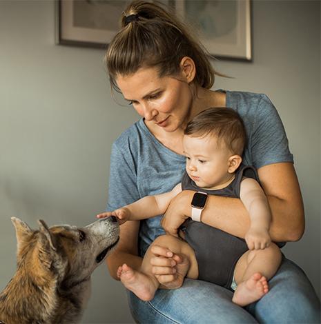 Baby op schoot maakt kennis met hond
