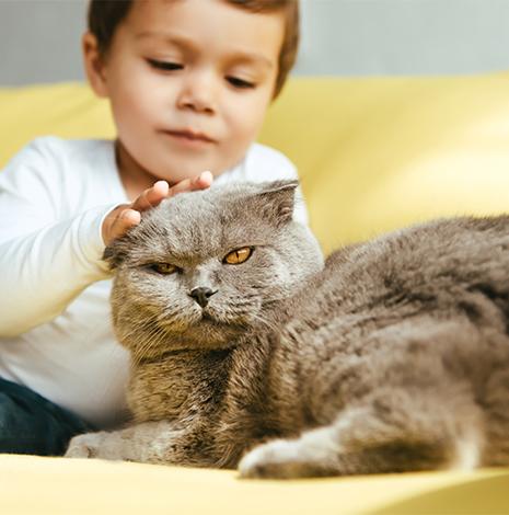 Peuter aait kat 