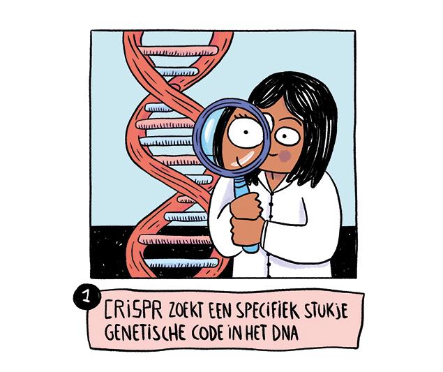 CRISPR, knippen en plakken in je DNA