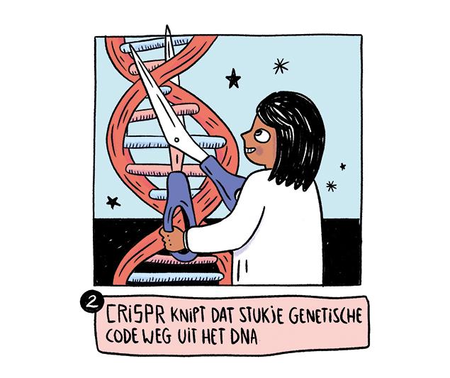 CRISPR, knippen en plakken in je DNA