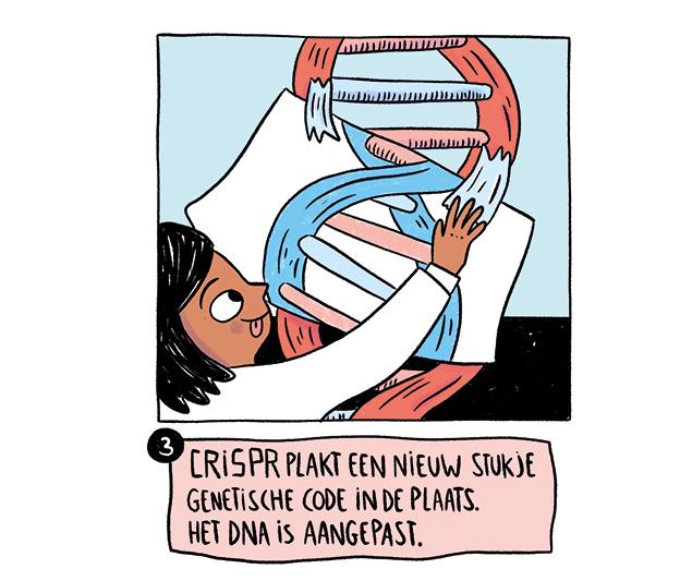 CRISPR, knippen en plakken in je DNA