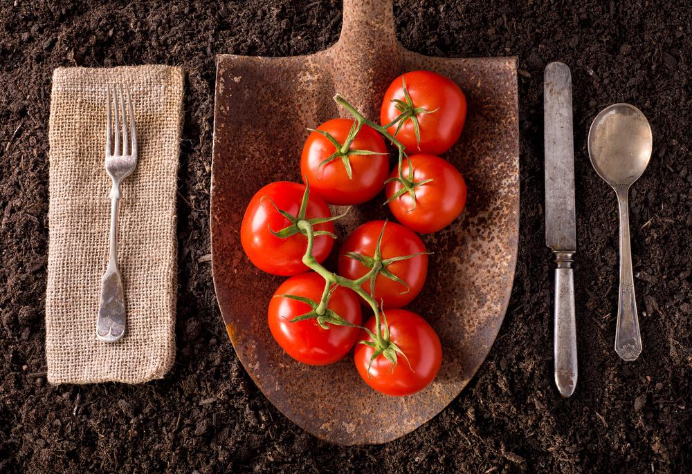 meer seizoensgroenten fruit eten tomaten