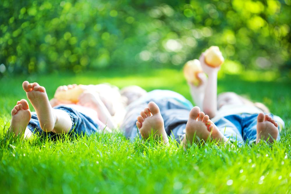 picknick 3