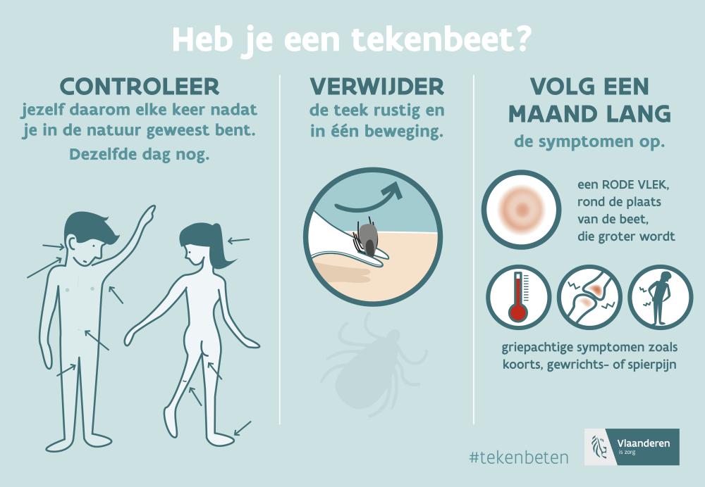 Schema tekenbeet